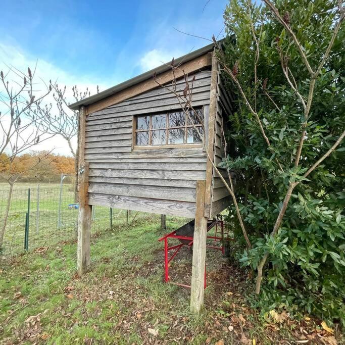 La Fermette Aux Lamas Savigny-Lévescault Exterior foto
